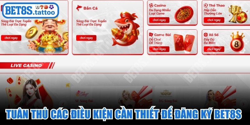 Tuân thủ các điều kiện cần thiết để đăng ký BET8S diễn ra suôn sẻ