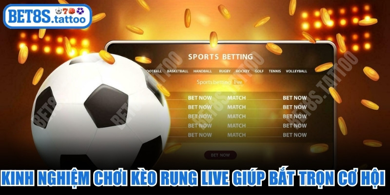 Kinh nghiệm chơi kèo rung live giúp bạn bắt trọn cơ hội vàng