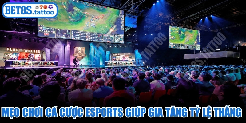 Mẹo chơi cá cược Esports giúp bạn gia tăng tỷ lệ thắng nhanh
