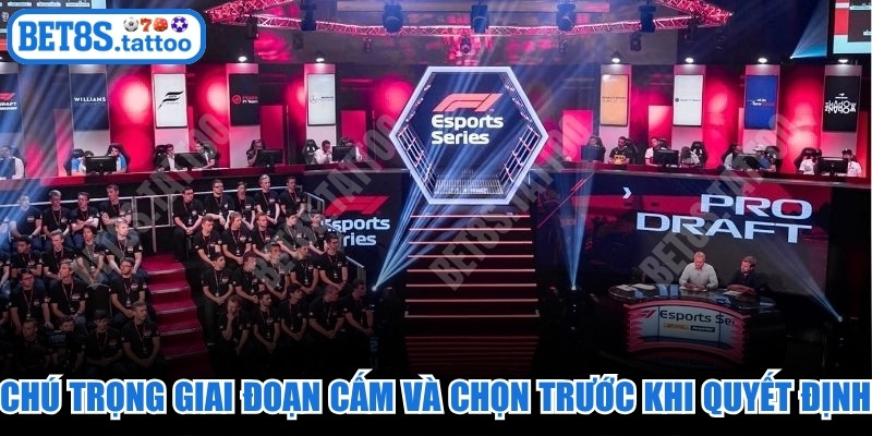 Chú trọng giai đoạn Cấm và Chọn trước khi quyết định đặt tiền