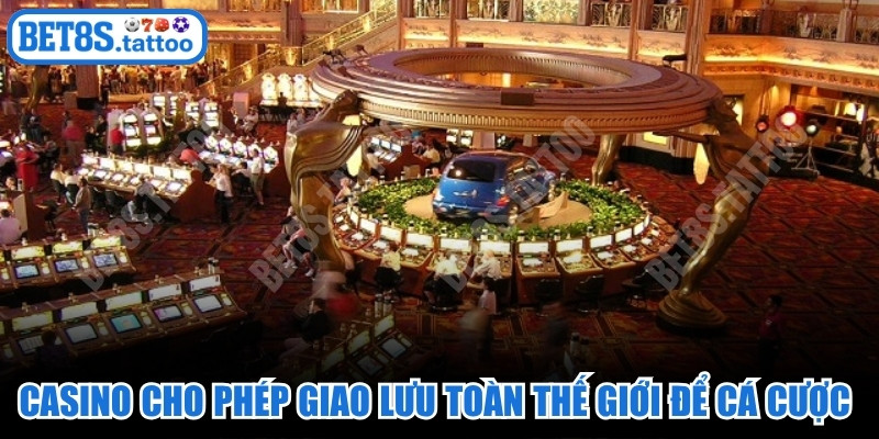 Casino cho phép giao lưu toàn thế giới để cá cược thỏa đam mê